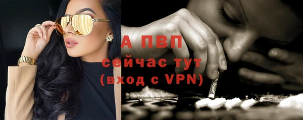 крисы Бронницы