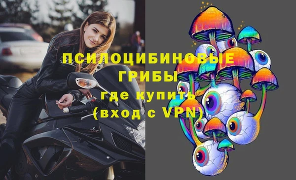 крисы Бронницы